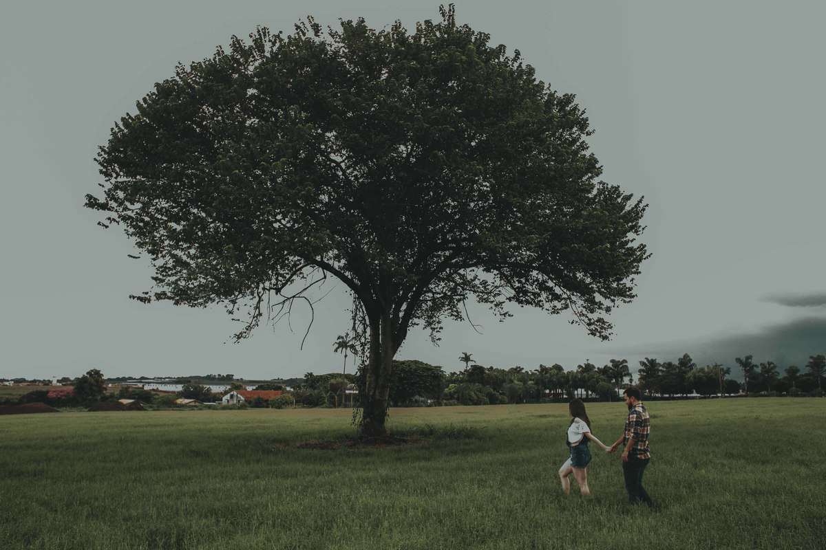 Casal em baixo da arvore