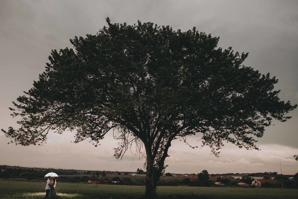 Noivos na chuva em baixo da arvore