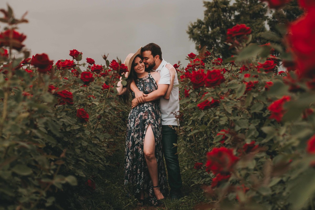 Ensaio no campo de rosas em Holambra