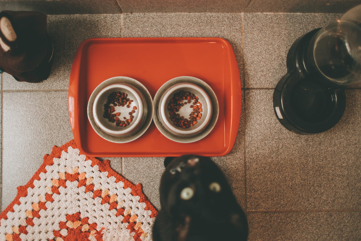 fotografia-de-casamento-victoria-gui-sao-paulo-sp