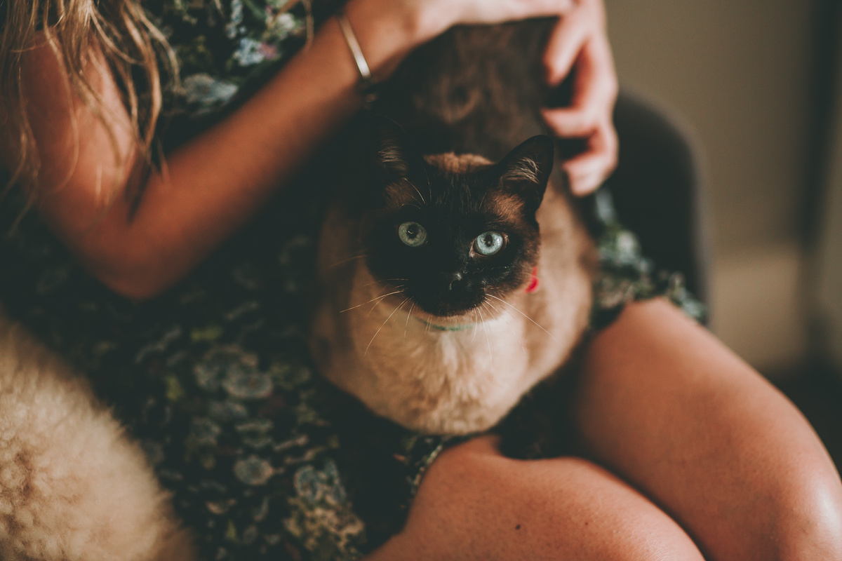 fotografia-de-casamento-victoria-gui-sao-paulo-sp
