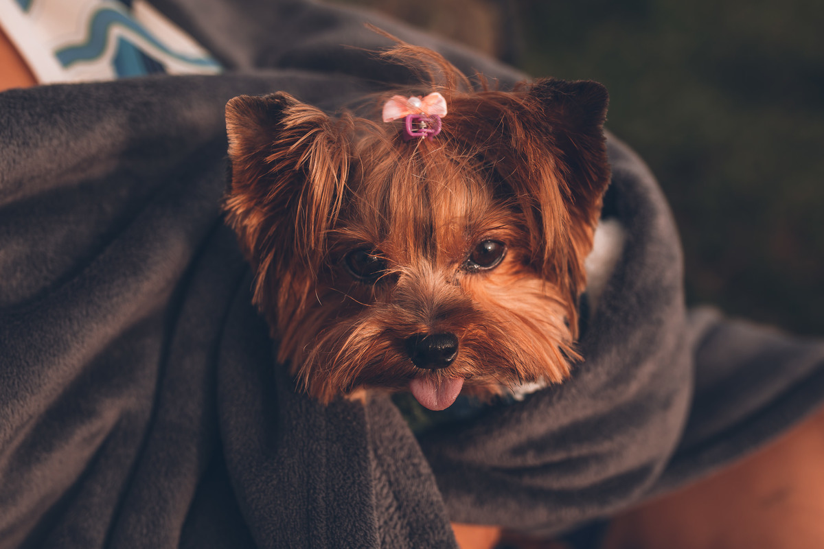 Ensaio Fotografico - Pré Wedding
Pico do Olho D`água
Fotografia Luiz Mazinho