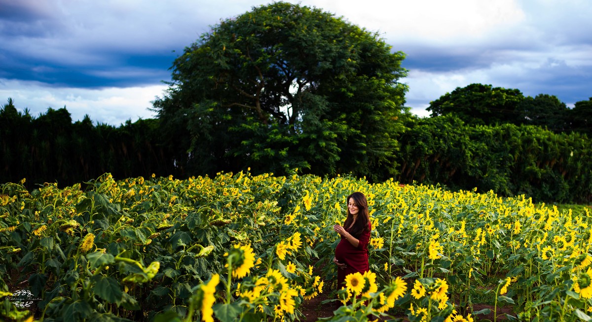 Imagem capa - Ensaio Gestante em Holambra-SP por Rodrigo Rocha Fotografia Artística 