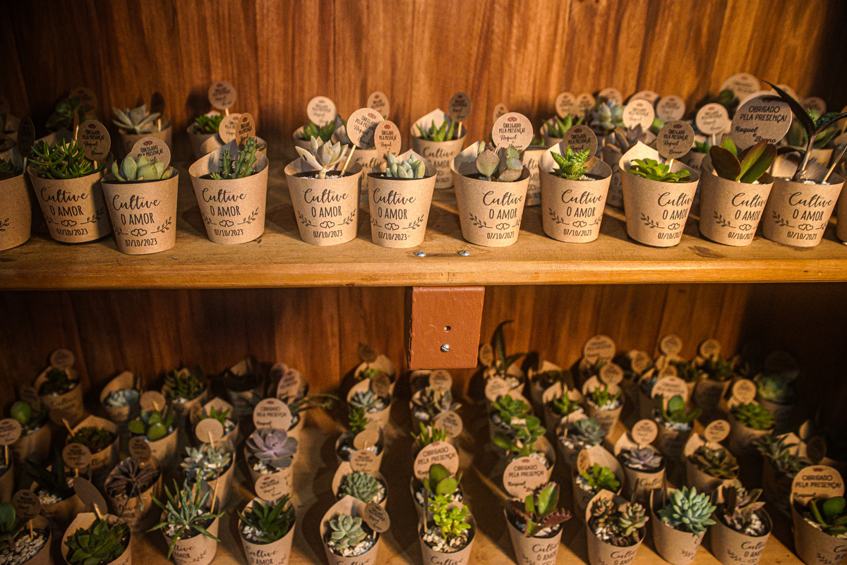 Bruno e Raquel - Cipotânea