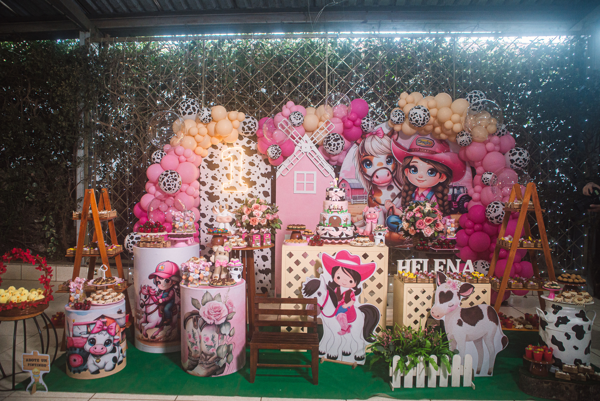 Ornamentação Aniversário 1 Ano- Cipotânea - MG