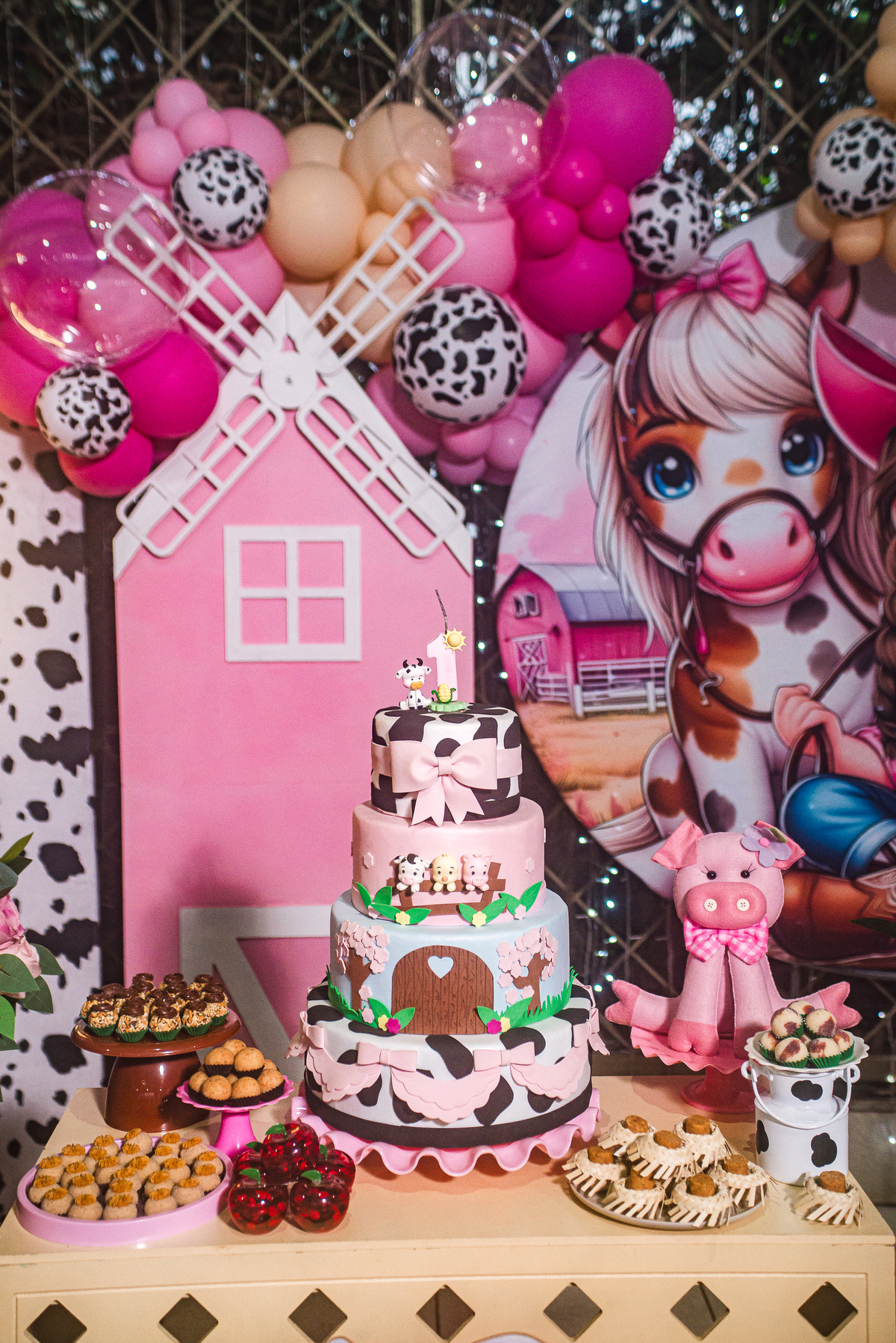 Ornamentação Aniversário 1 Ano- Cipotânea - MG