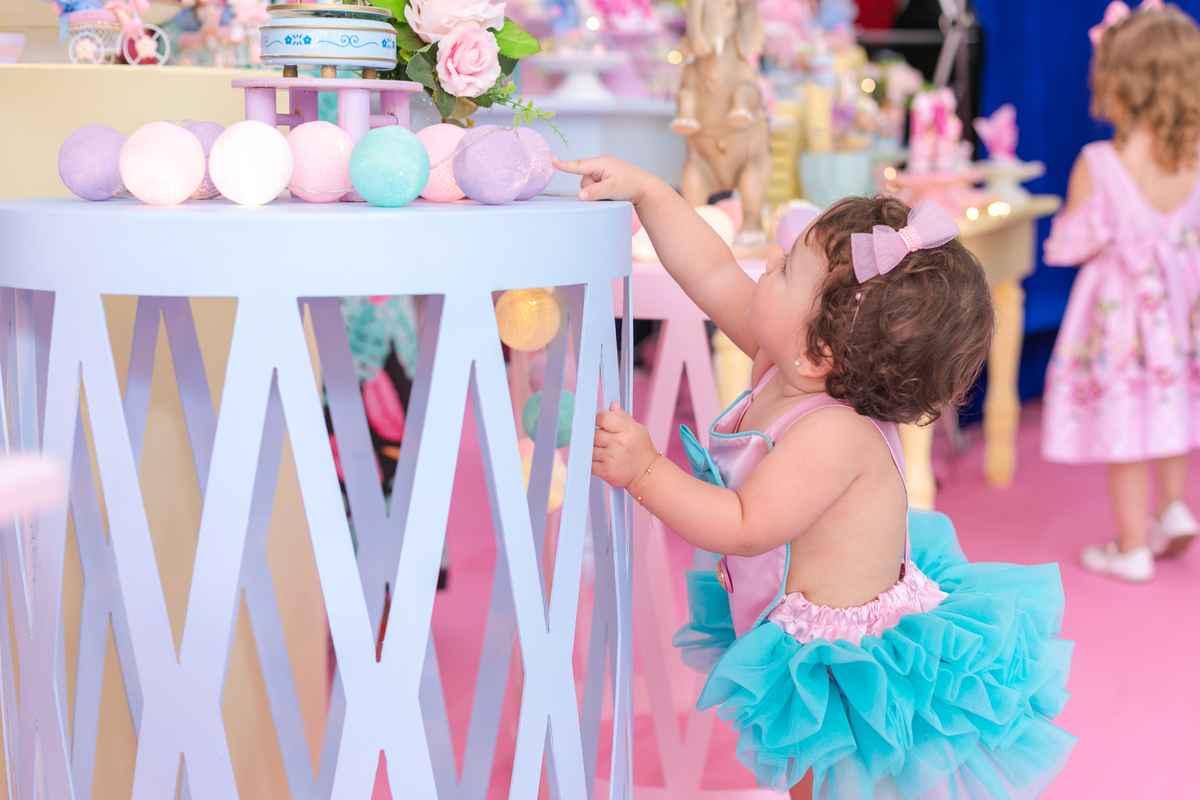 Fotografia de Festa Infantil | Catharina 1 ano | Petrópolis - Rj 
