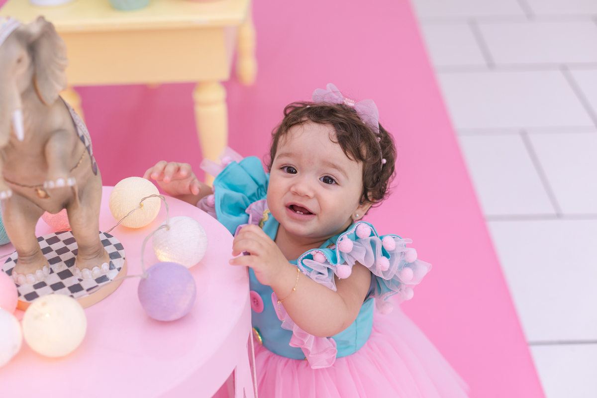 Fotografia de Festa Infantil | Catharina 1 ano | Petrópolis - Rj 