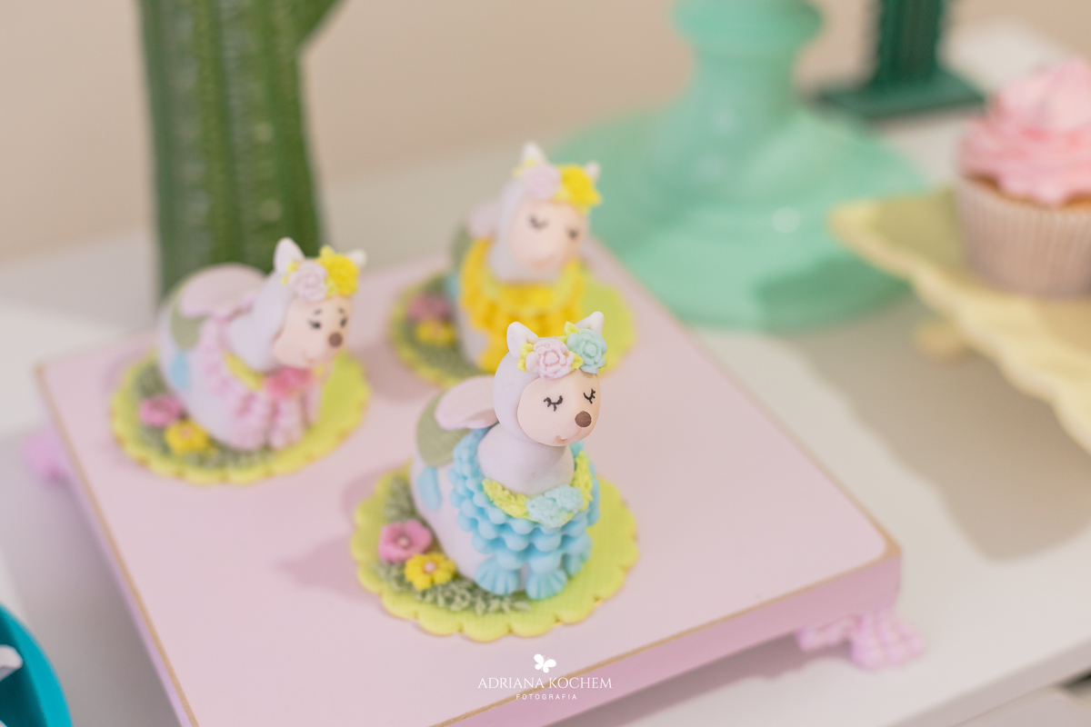 Fotografia de Festa Infantil | Gigi 8 anos | Adriana Kochem 