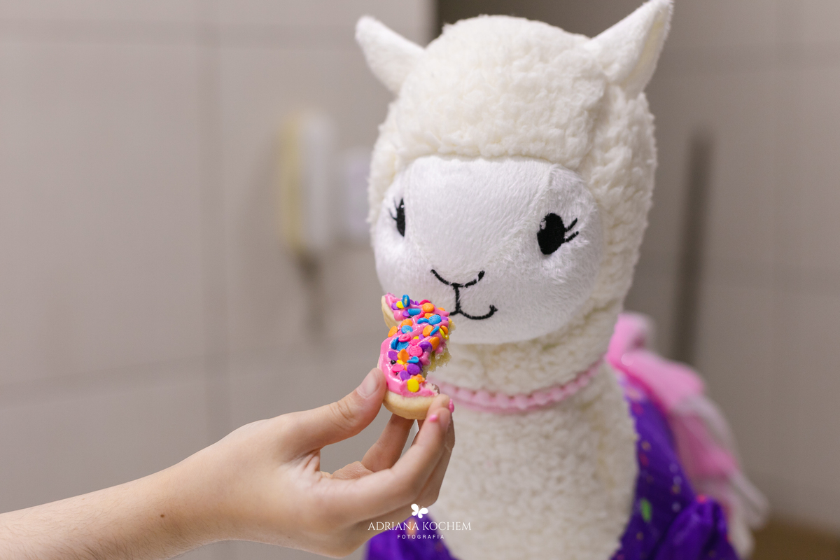 Fotografia de Festa Infantil | Gigi 8 anos | Adriana Kochem 