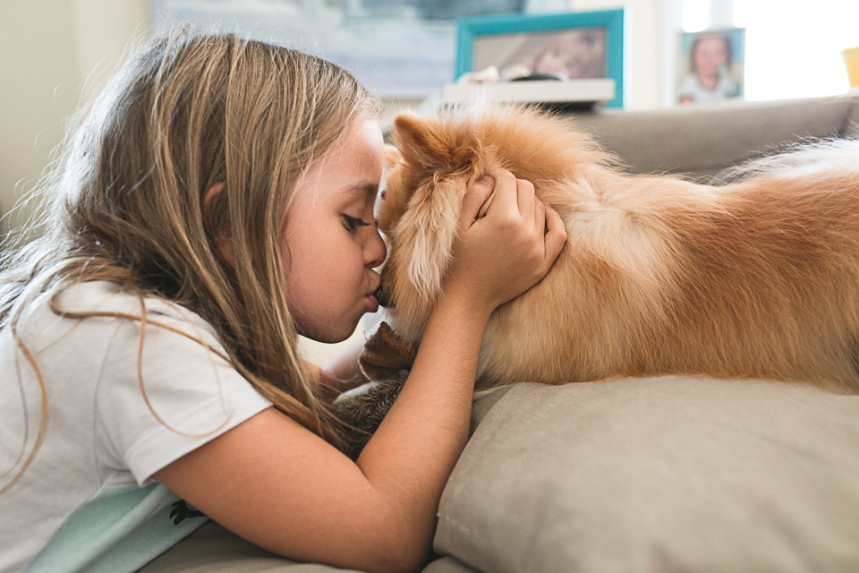 criança carinho em pet, ensaio pet, criança com pet