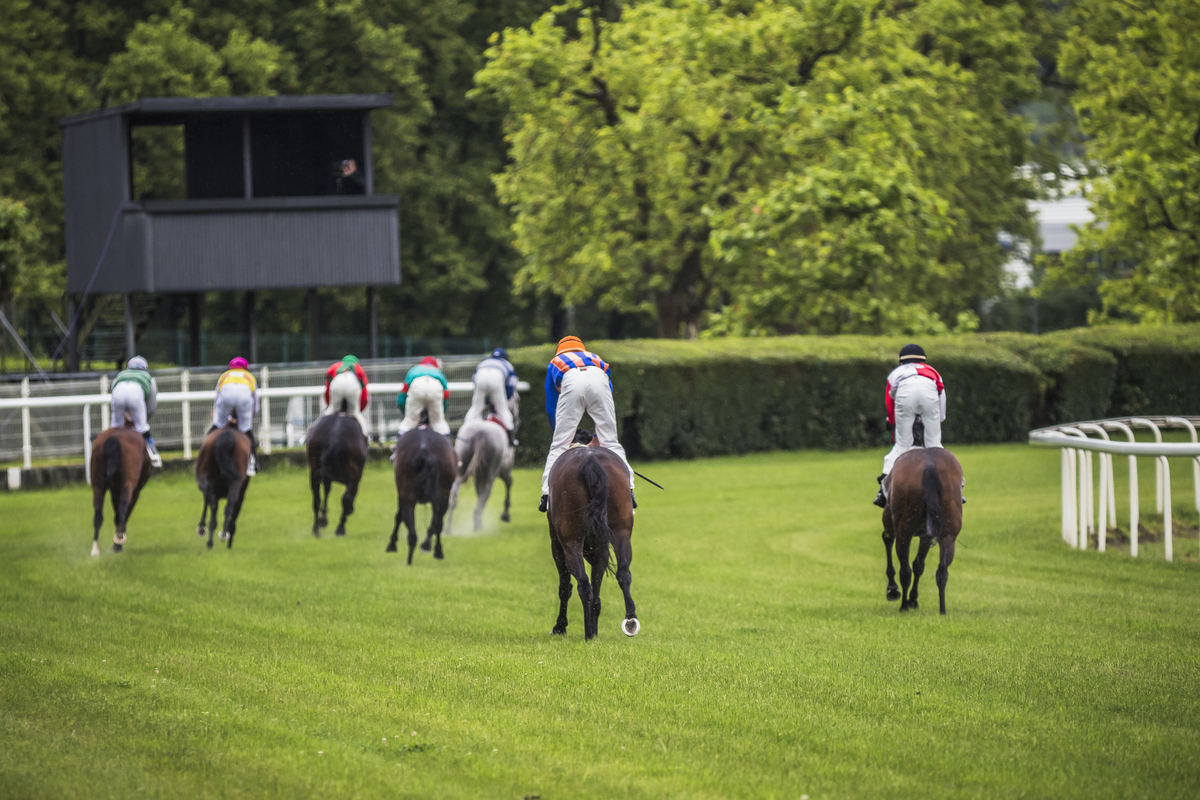 Corridas/carloshernani/photography/golega 