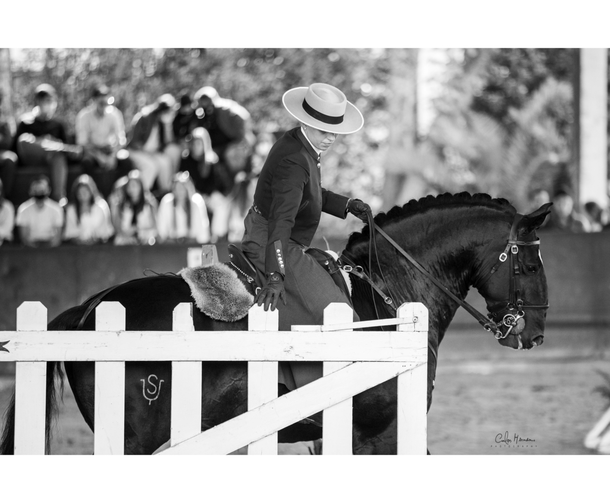 Mafalda Galiza Mendes isco sociedade das silveiras/carloshernani/photography/golega 