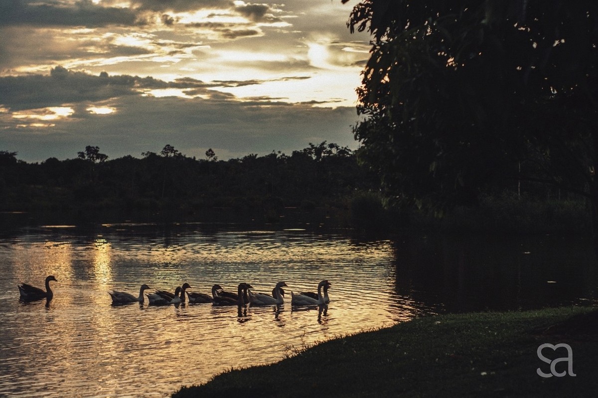 Casamento Cibele e Sandro