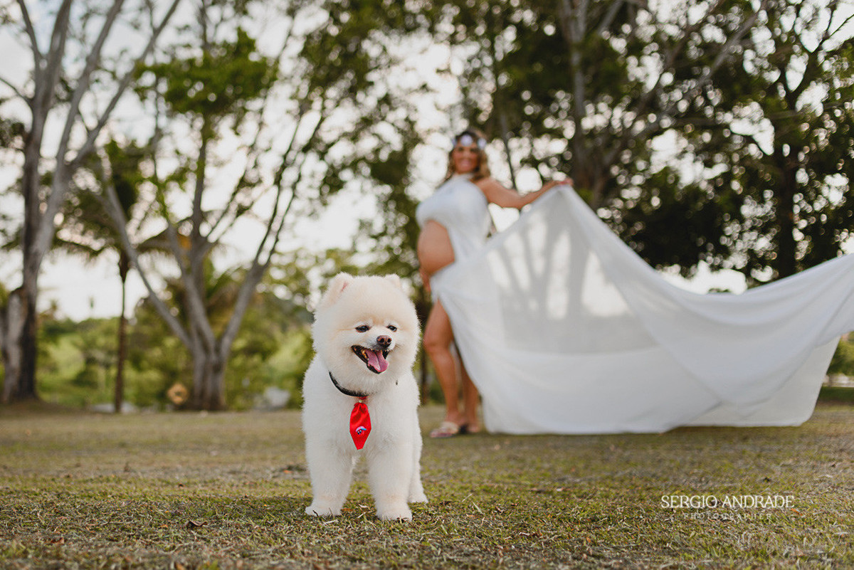 Regiane + Marco = À espera de Sophia