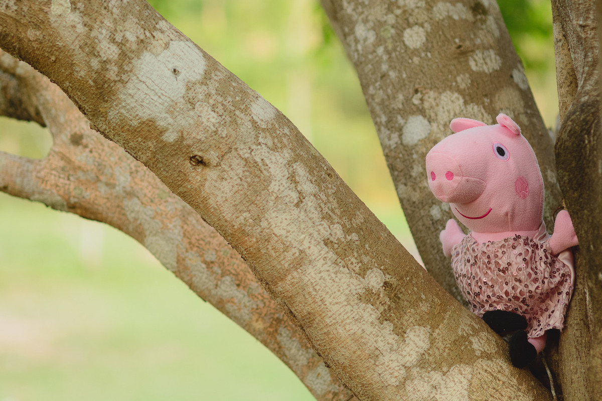 Mãe e Filha fotografadas por Pai e Filho