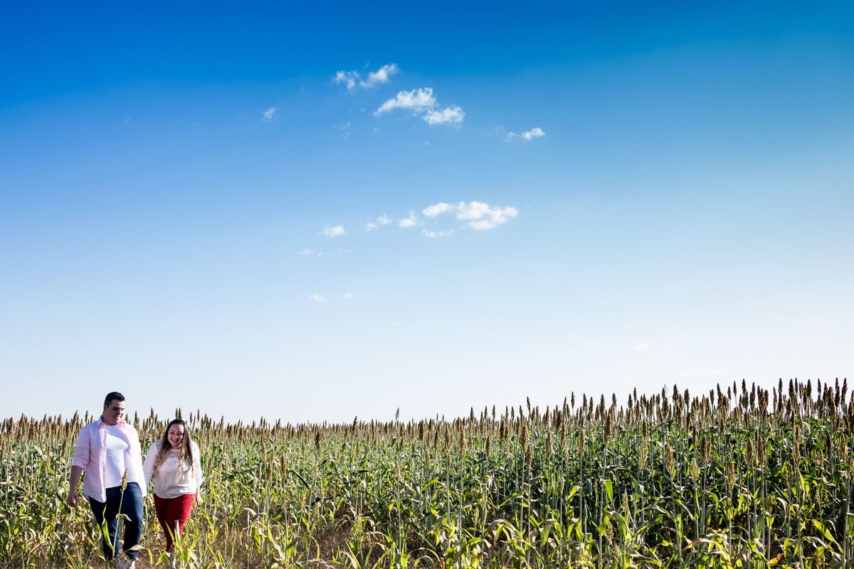 Noivos no meio da paisagem linda de holambra-sp.