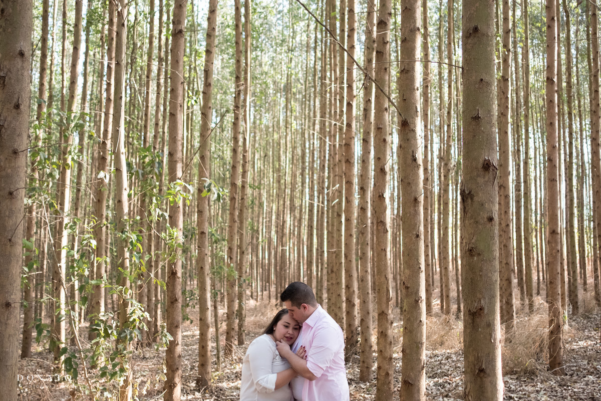noivos no meio dos eucaliptos, em Holambra sp. Foto feita em Holambra.