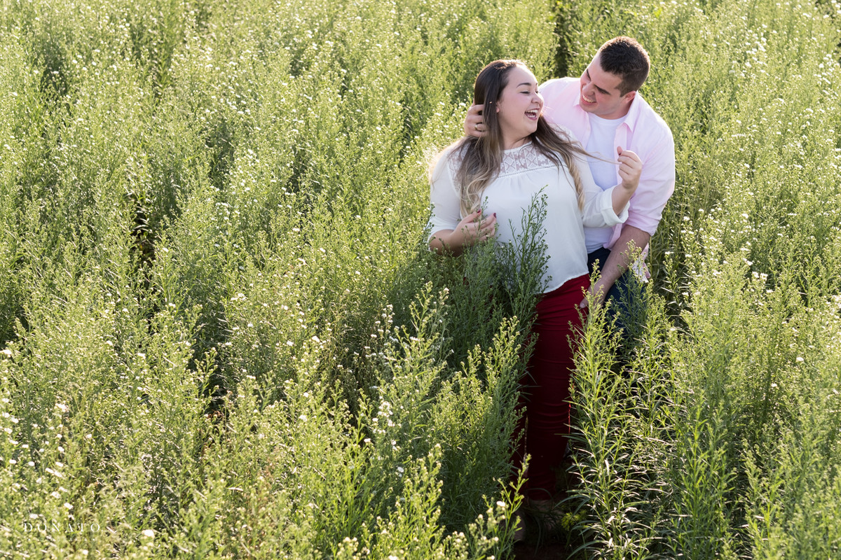 foto feita em Holambra
