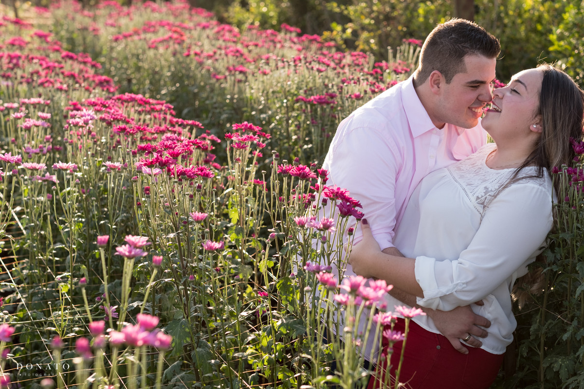 noivos em Holambra margarida rosa