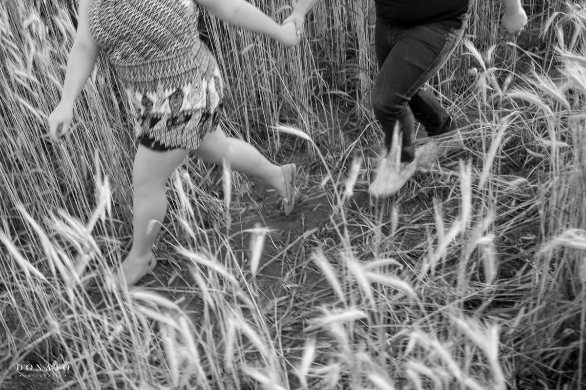 foto no meio do trigo em Holambra