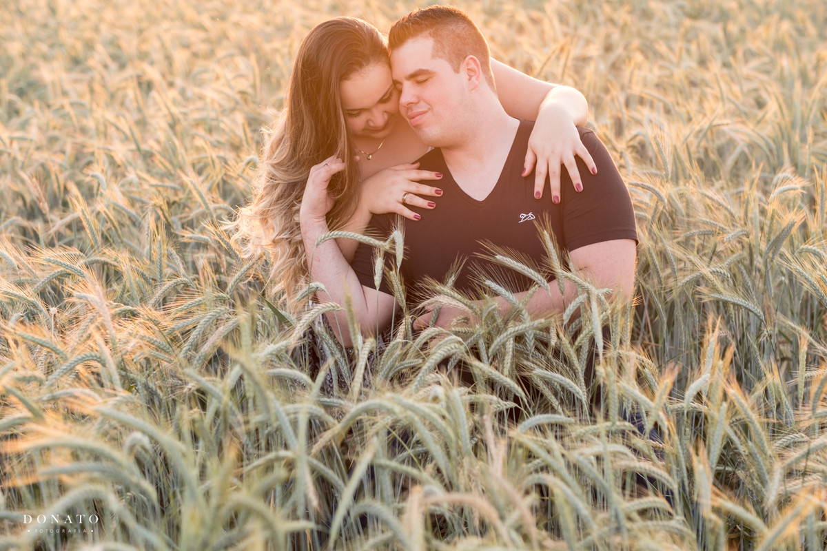 foto romântica no meio do trigo em Holambra