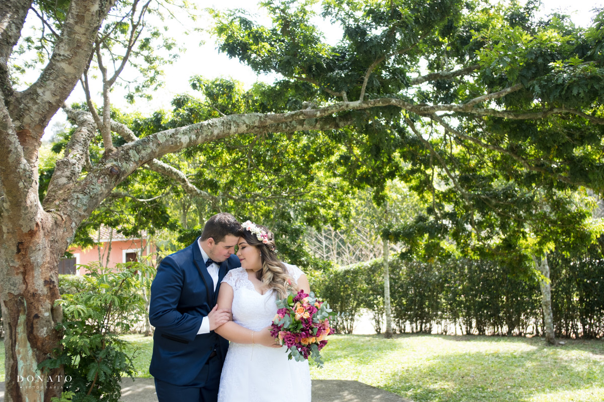 Noivos são fotografados em uma das linda arvores do espaço natureza.