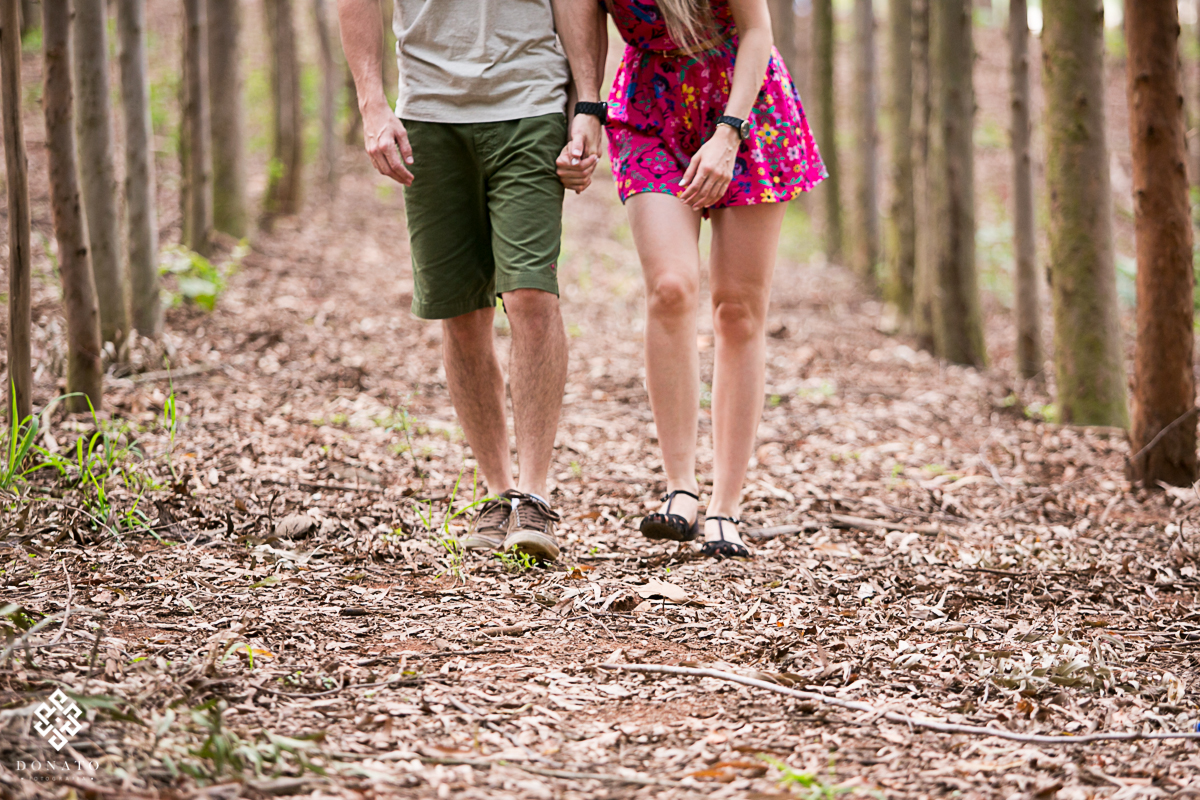 Noivos caminham sobre folhas secas de eucalipitos, imagem é linda.
