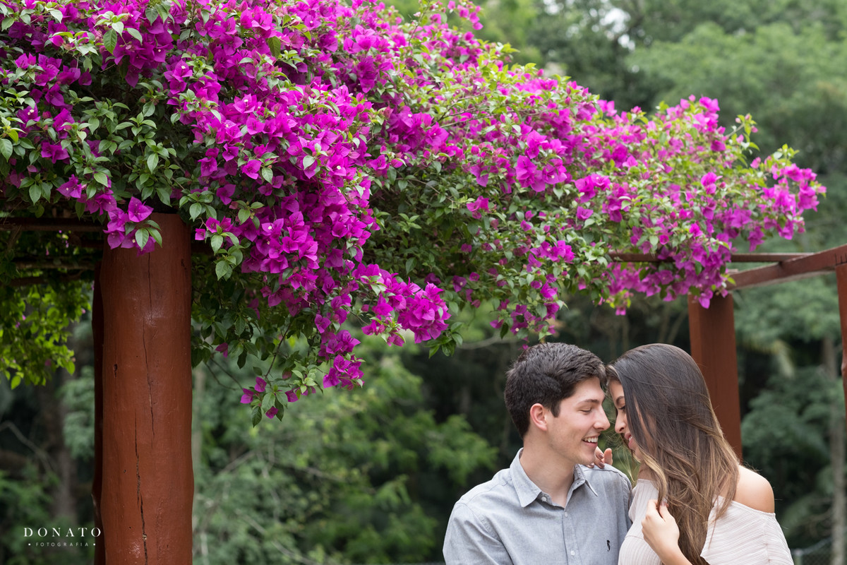 Fotos dos noivos se divertindo em frente a arvore florida da fazenda 7 lagoas.