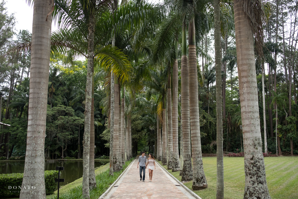 Ensaio na Fazenda 7 lagoas, noivos caminhando entre as palmeiras real.