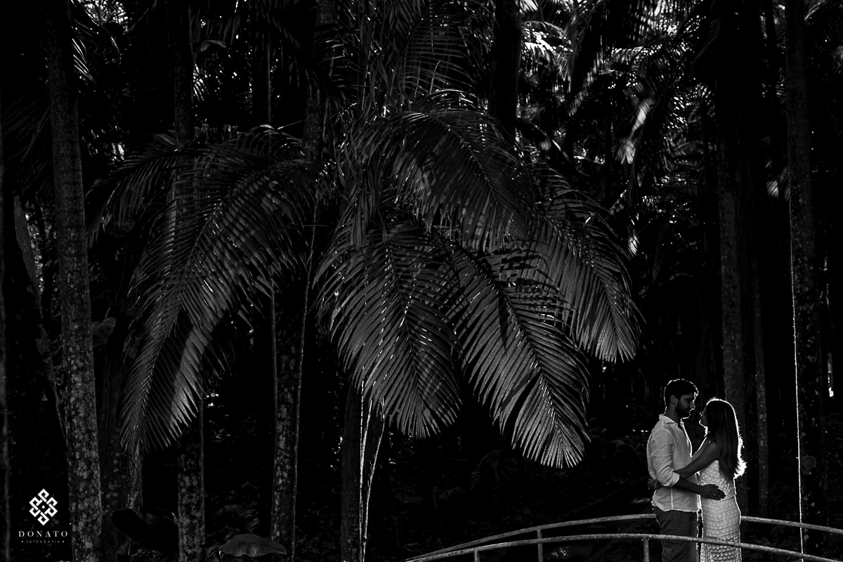 Noivos sao fotografados na ponte em frente ao lago da fazenda.