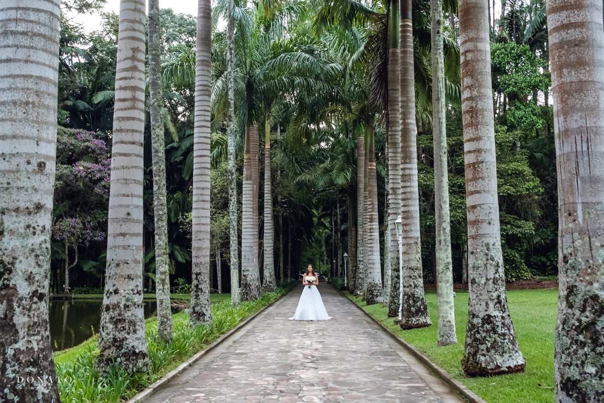 Noiva entrando entre as palmeiras imperiais.