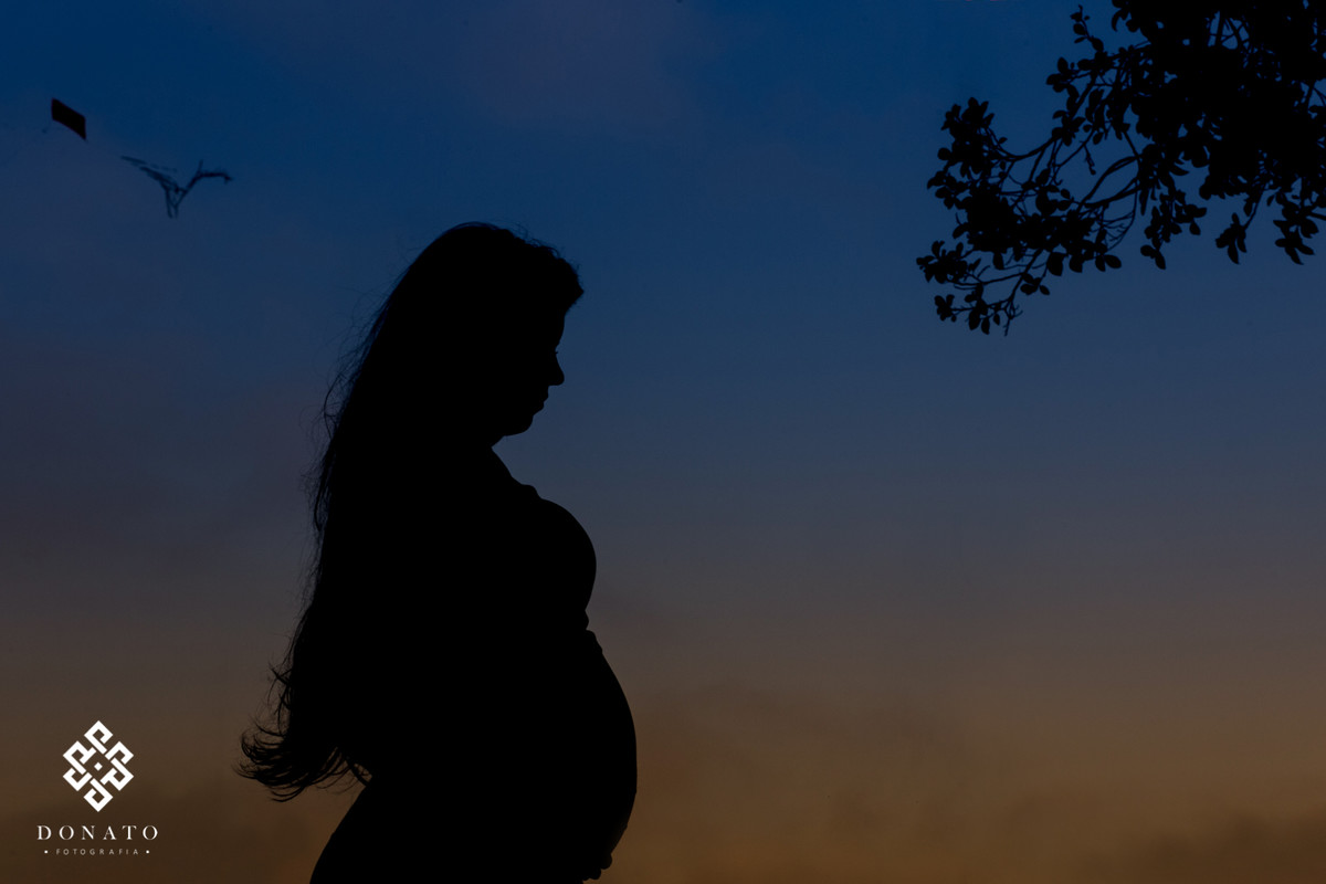 silhueta da gestate, com a barriga, o ceu azul e alaranjado, lindo por do sol, no canto direito aparece uma pipa no ceu.