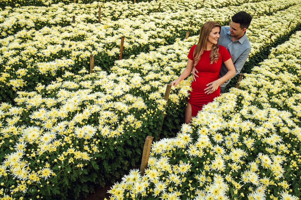 Retrato da noiva e noivo nas flores da cidade de holambra.