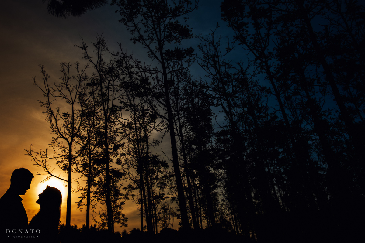 Plantação de eucalipitos com casal.