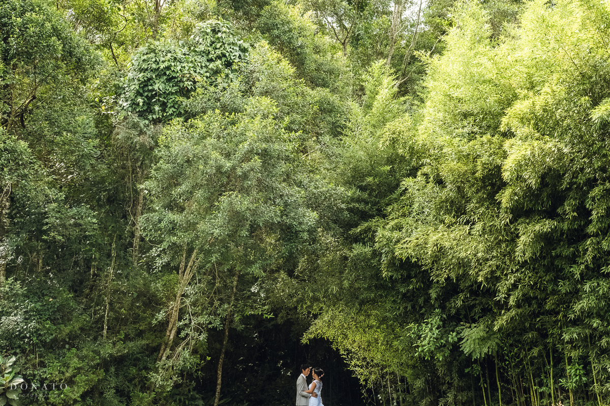 retrato dos noivos no jardim do natureza-sp.