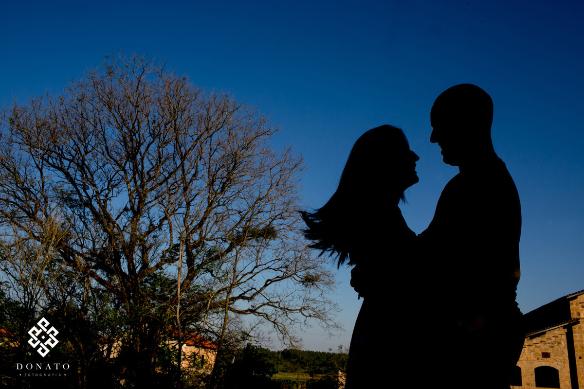 Detalhe do casal em silhueta, um lindo ceu azul e uma arvore fazem parte da imagem.