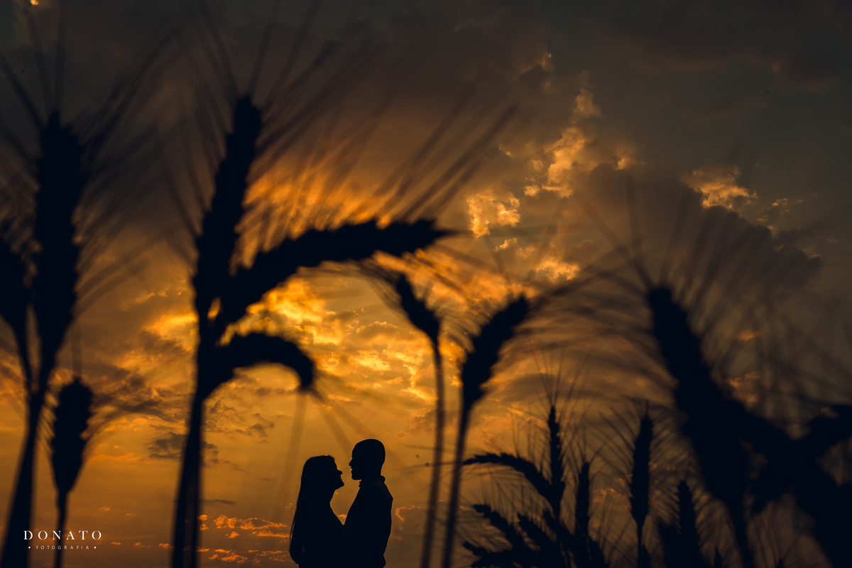 Pre-wedding-ensaio de casal por do sol em holambra-sp.