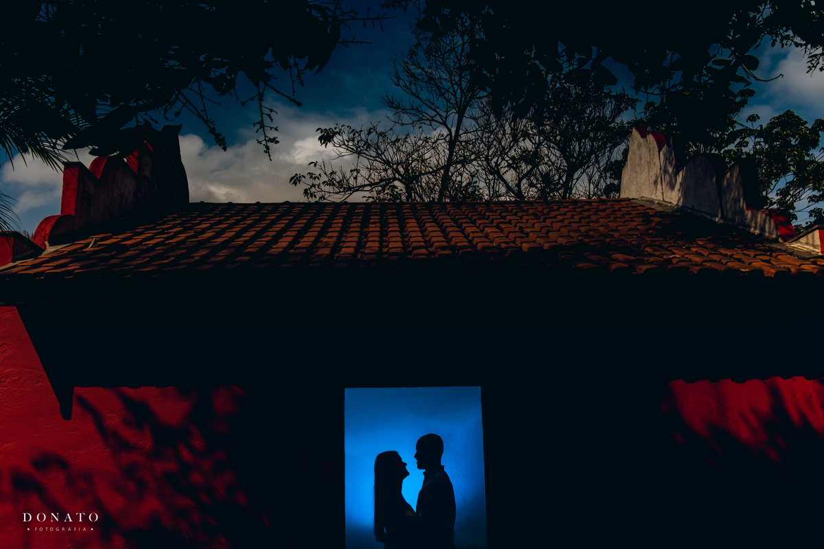 Fotos com cores na cidade de holambra.