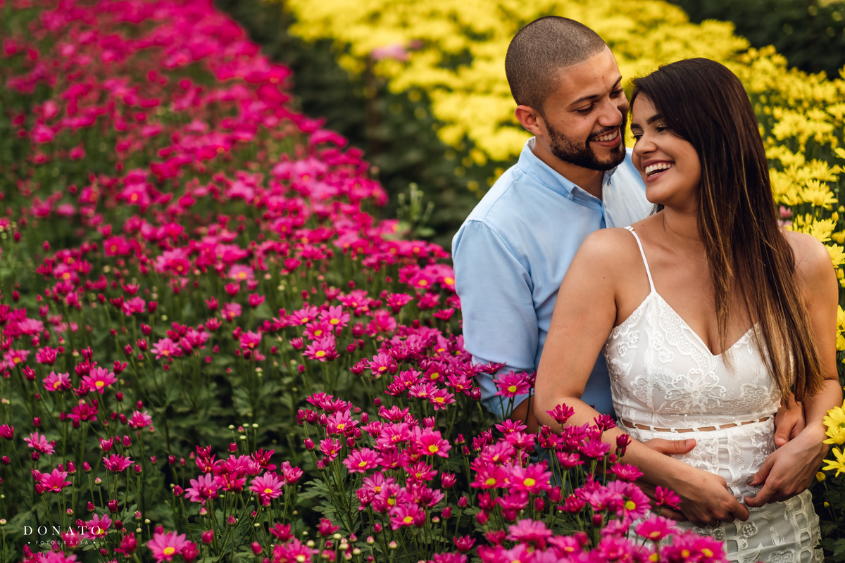 Fotos no nas flores coloridas em Holambra-sp