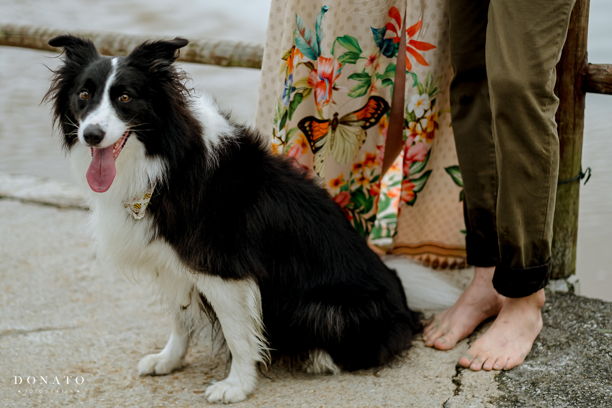 Ensaio fotográfico da jogadora de volei Edinara, na praia de Juquehy-sp, ensaio com cachorro na praia.