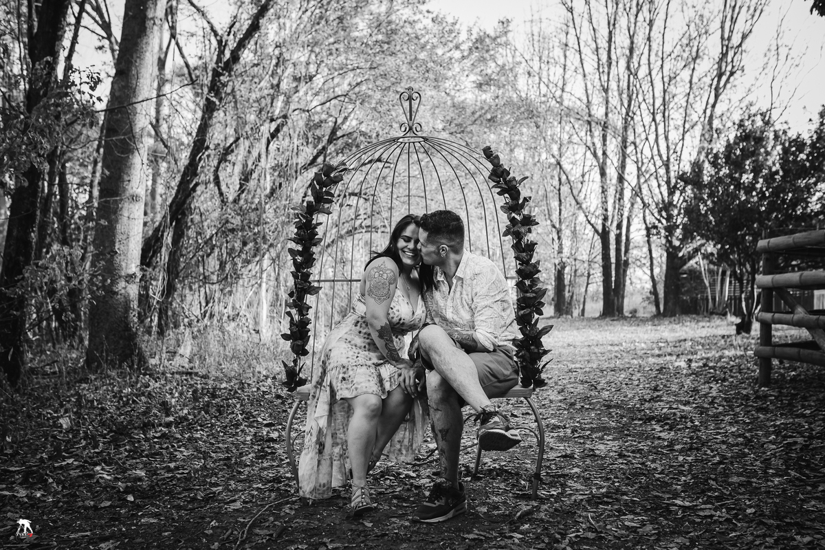 noivos no campo de holambra 