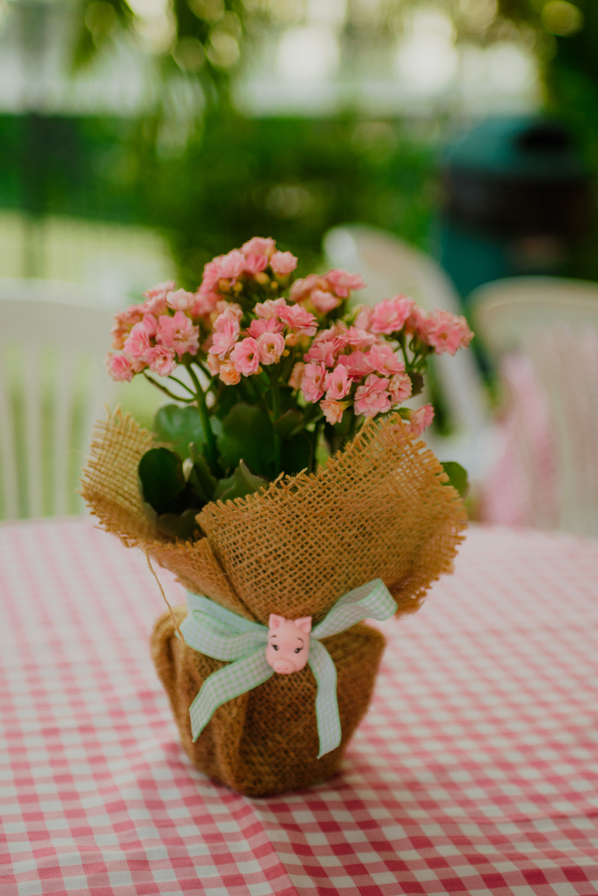 Fotografia de aniversário de 1 ano em Lauro de Freitas, Salvador, Bahia