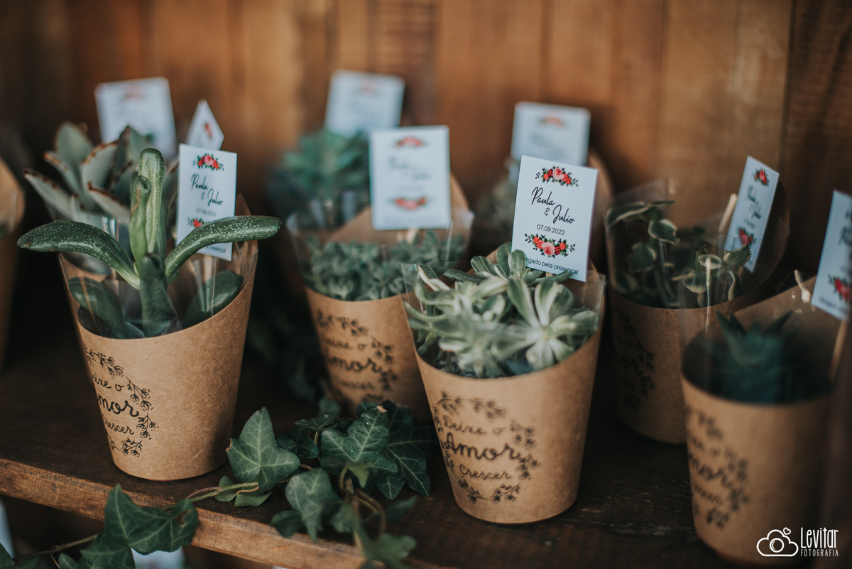 Lembrancinha vasinho suculenta Casamento Recanto do Bosque Guaratinguetá SP