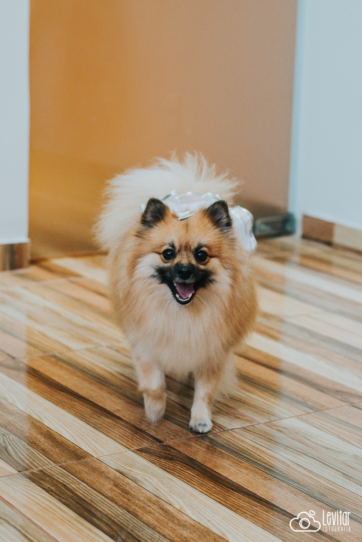 Casamento | na Luciana Valladão Restaurante | Guaratinguetá |Paula e Luan