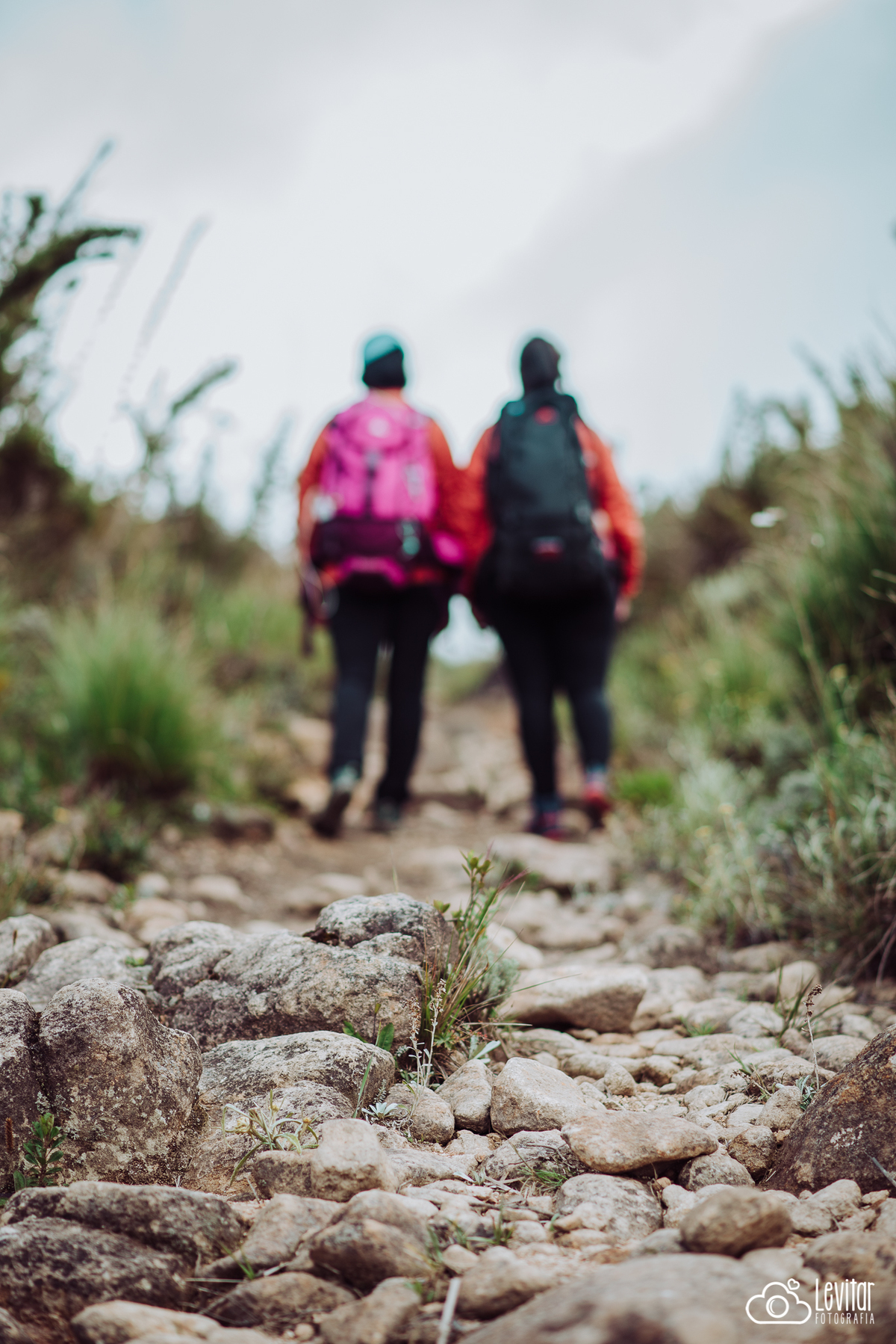 Ensaio Parque Nacional Itatiaia -RJ