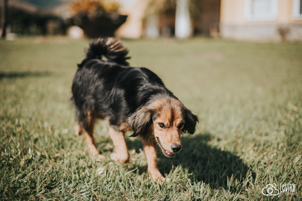 Ensaios - Pré Wedding - Suzana e Rodrigo - Mosteiro Sagrada Face - Roseira-SP
