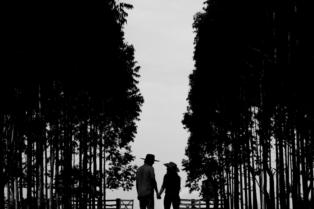 Ensaio de Casal com Cavalos Sinop-MT-casal-ensaio-de-casal-nova-fronteira-ensaio-com-cavalos-