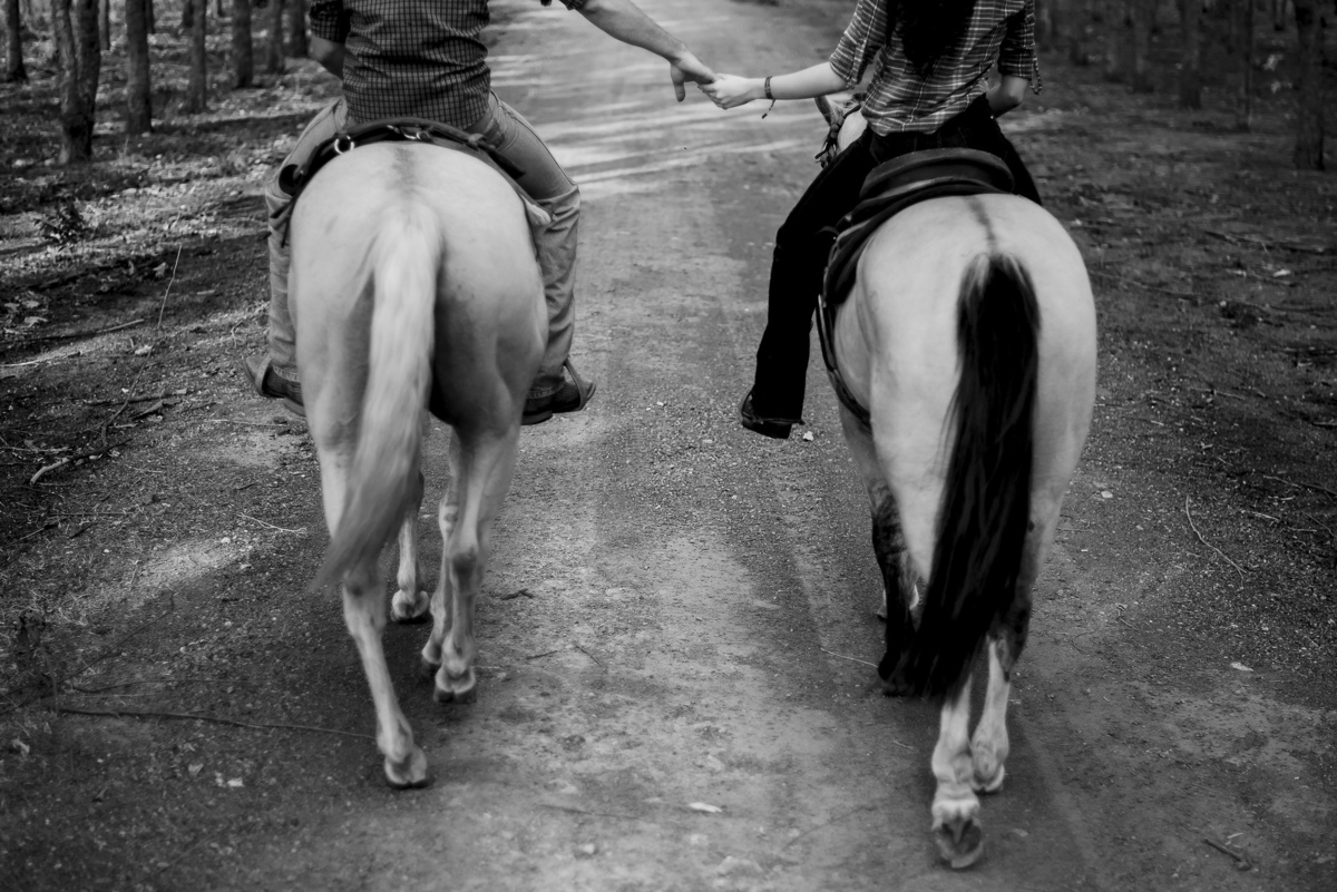 Ensaio de Casal com Cavalos Sinop-MT-casal-ensaio-de-casal-nova-fronteira-ensaio-com-cavalos-