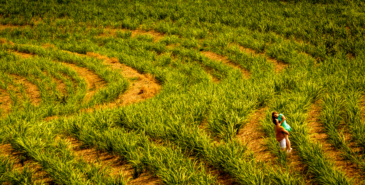 PRE WEDDING EM SÃO PEDRO E ITIRAPINA SP